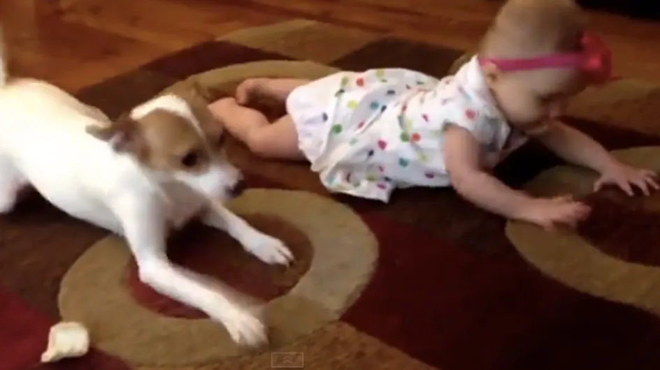 Un perrito enseña a una niña a gatear