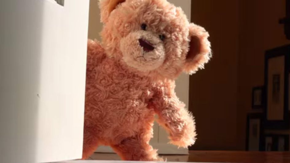Dieser Teddy wartet sehnsüchtig auf seinen neuen besten Freund. Ihr kommt nie darauf, wer das ist ...