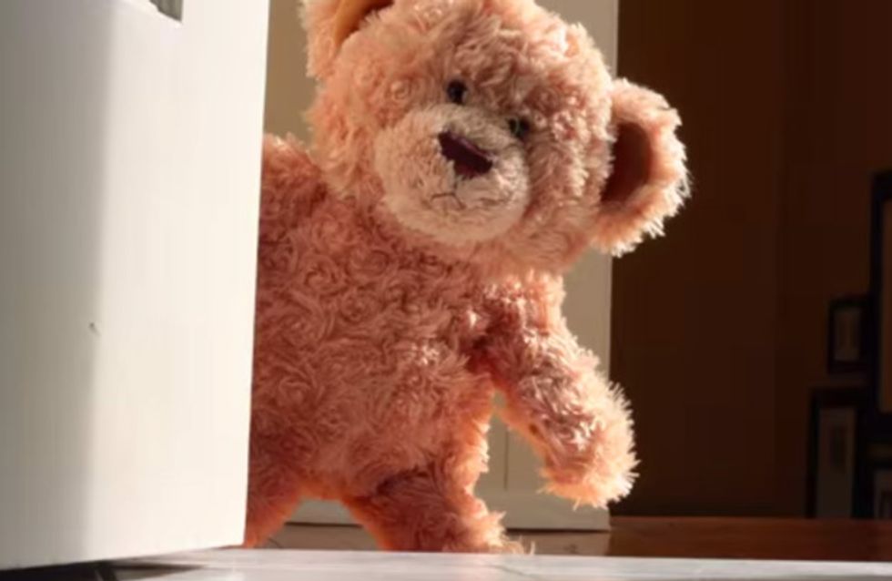 Dieser Teddy wartet sehnsüchtig auf seinen neuen besten Freund. Ihr kommt nie darauf, wer das ist ...