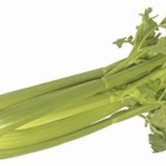Celery & celeriac
