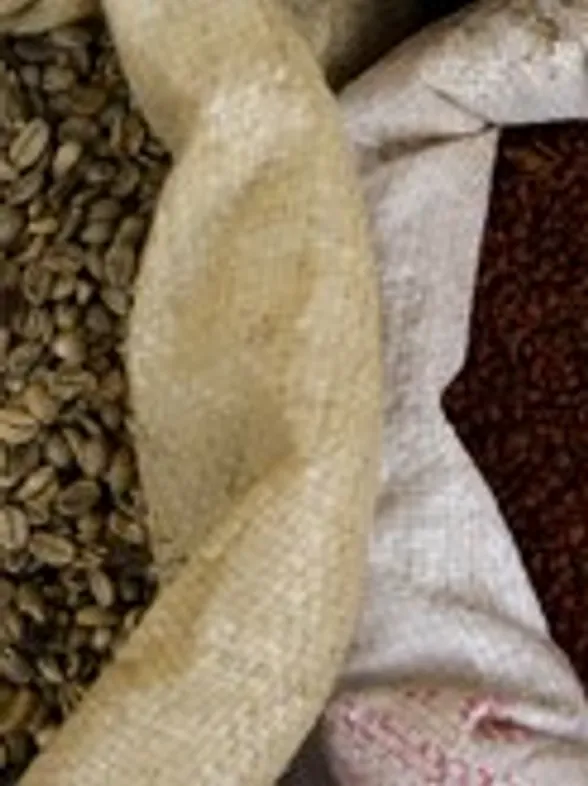 Tried and tasted: the green coffee that's good for you