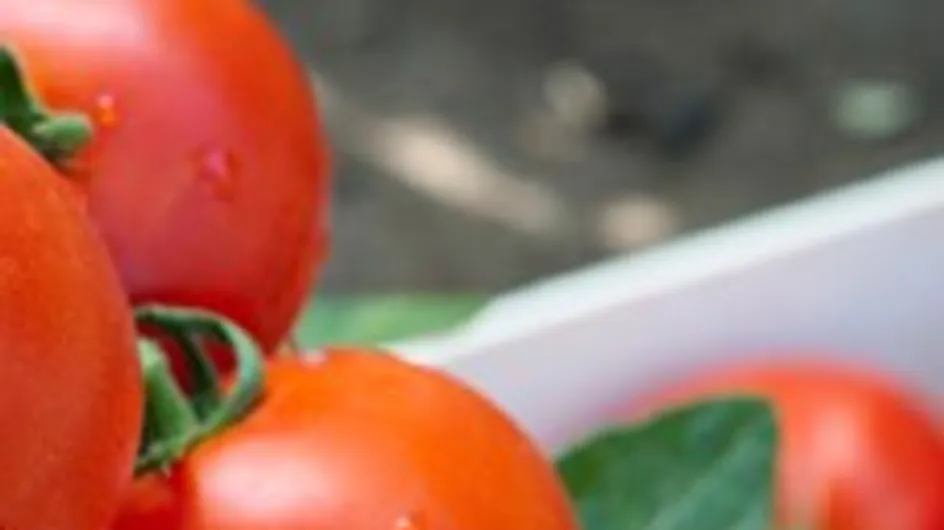 Growing tomatoes