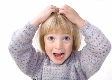 Les Poux Les Reconnaitre Les Combattre Et Les Eradiquer