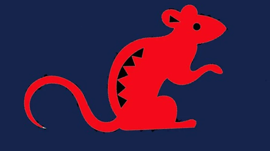 Le Rat : tout sur votre signe chinois