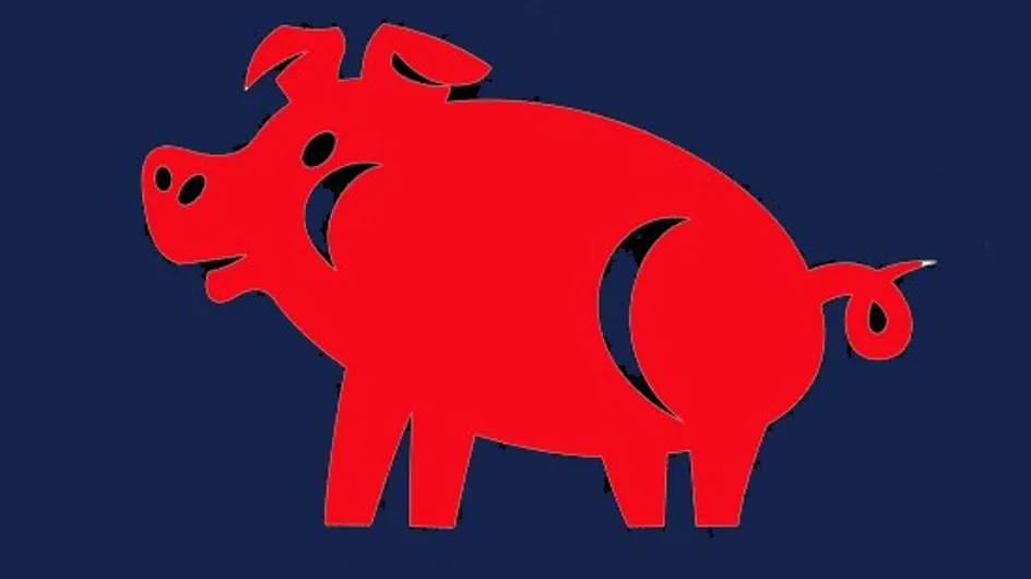 Le Cochon : tout sur votre signe chinois