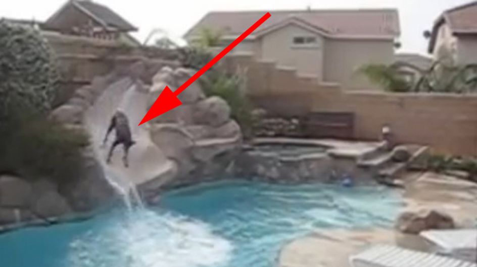 Crazy Dog! Was dieser Hund macht, ist richtig cool und witzig