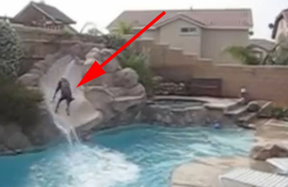 Crazy Dog! Was dieser Hund macht, ist richtig cool und witzig
