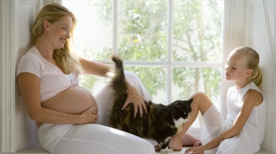 Por que a toxoplasmose na gravidez é tão perigosa?