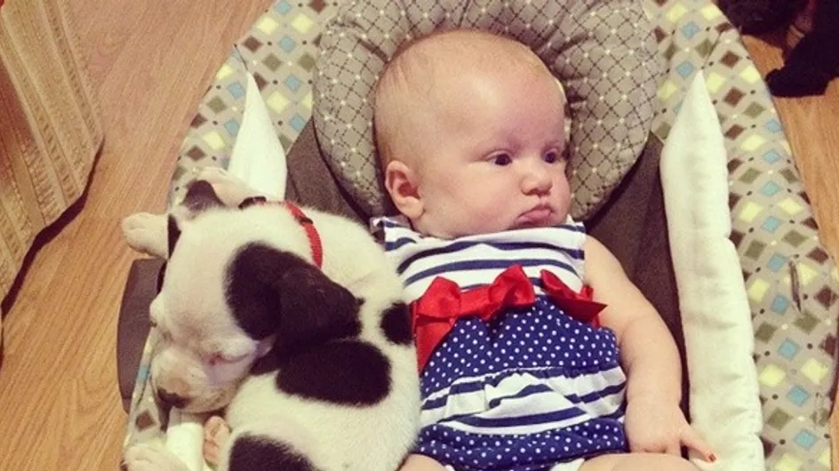 We Can't Decide Which Is Cuter: The Puppy Or The Baby?