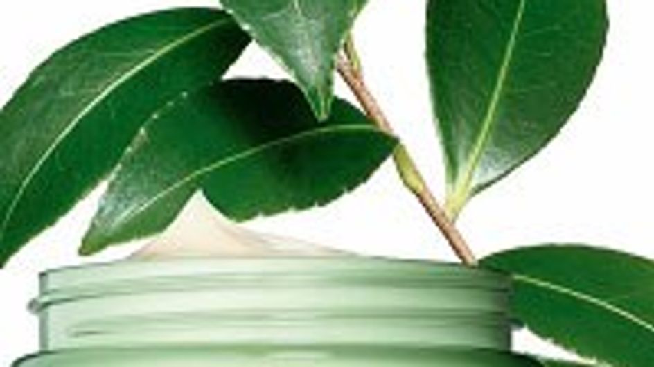 Origins und Douglas: Engagement für die Umwelt