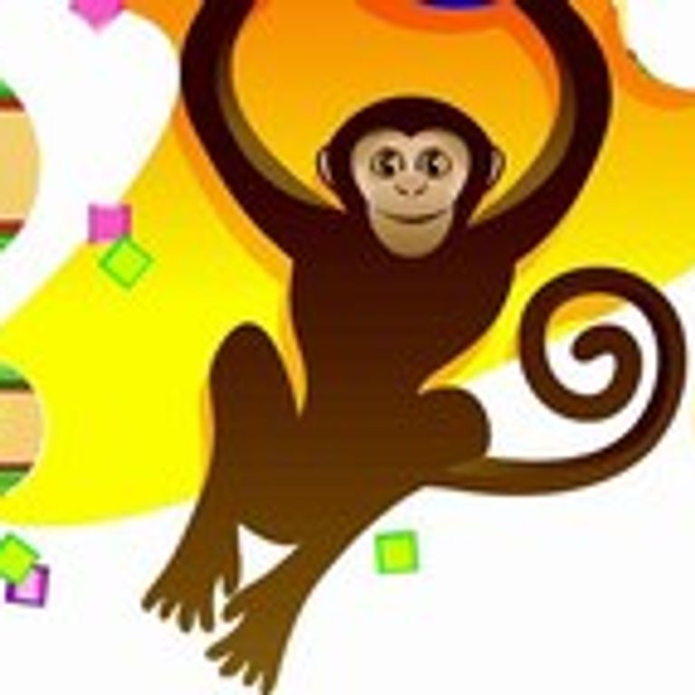 Die chinesische Astrologie