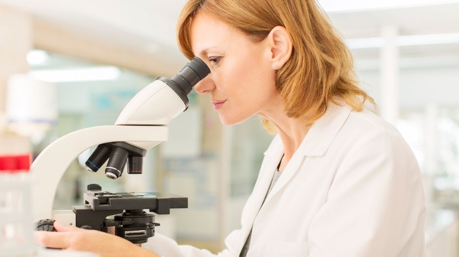 La industria química, ¿causante de la mala calidad del esperma de los tarraconenses?
