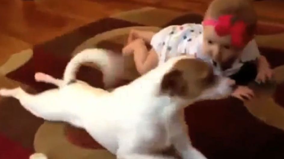So süß! Der beste Beweis, warum Hunde großartige Babysitter sind!