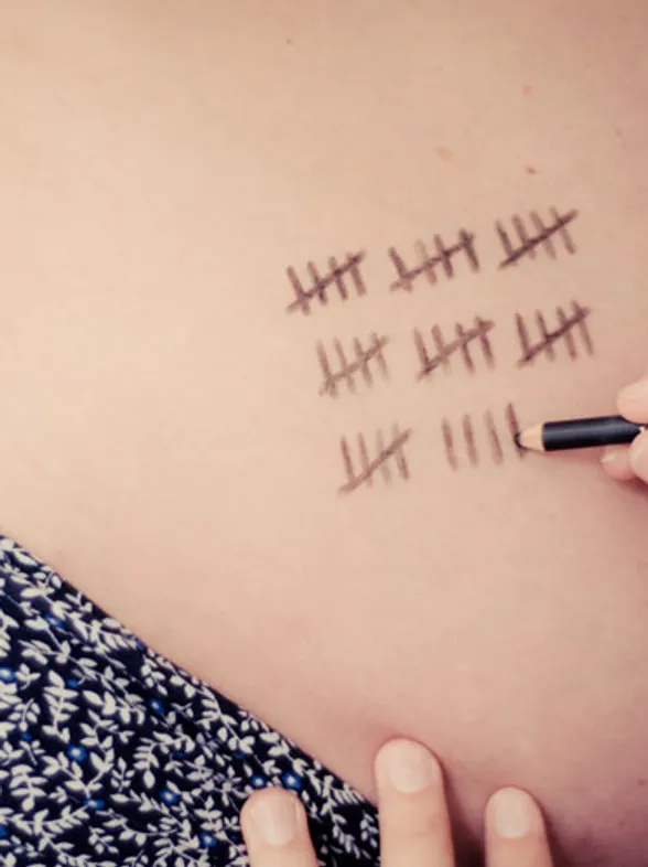 The Fifth Month Of Pregnancy