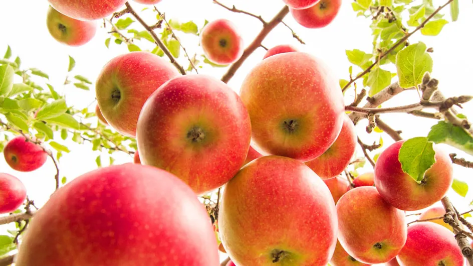 How D'you Like Dem Apples: Tesco To Launch Mad New Pink Apples