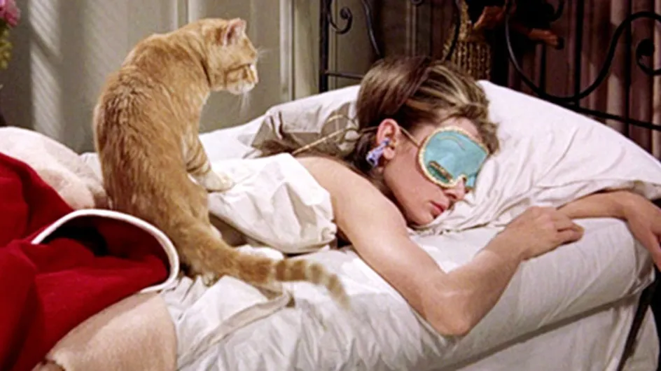 17 Reasons Your Cat Is Better Than Your Boyfriend
