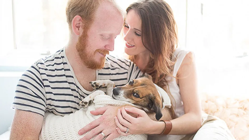 Forget Babies. This Newborn Style Photo Shoot Starring A Dog Is The Cutest