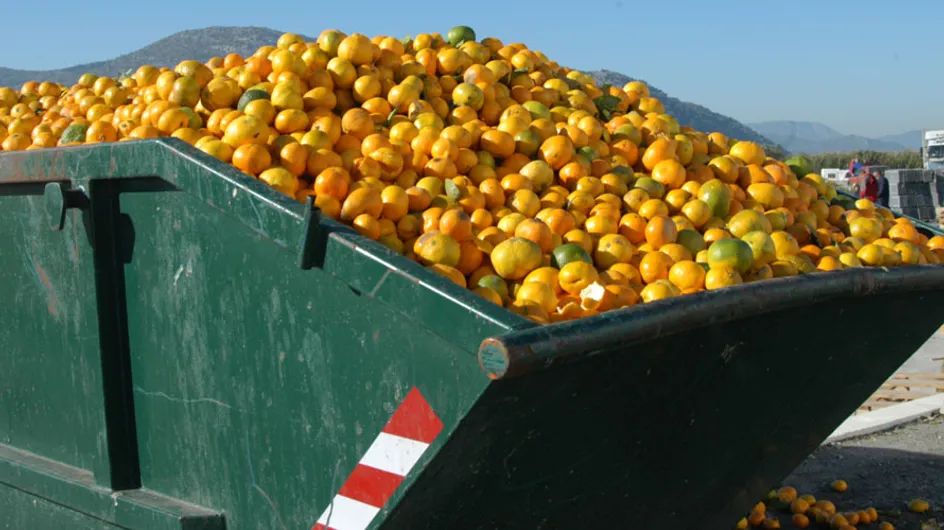 Is This The Best Way To End Food Waste?