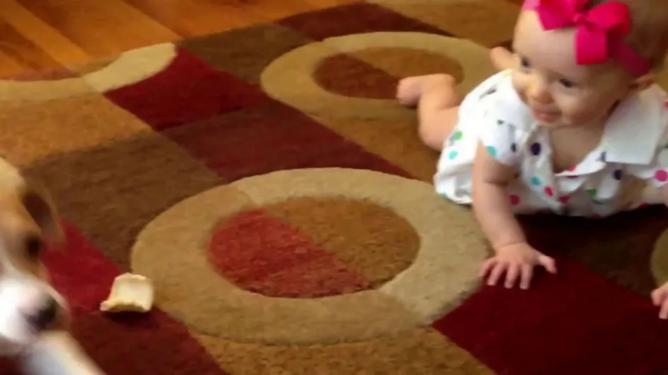 Cute Overload: Tiny Dog Teaches Baby How To Crawl