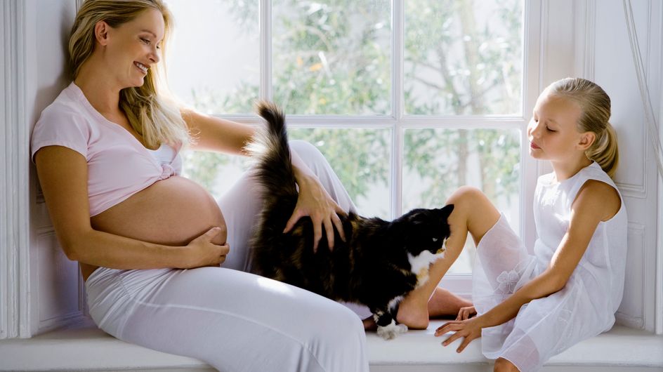 Toxoplasmose Et Grossesse Symptomes Et Prevention