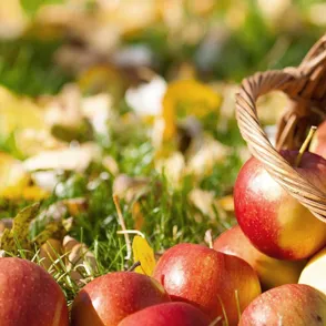 Eetlustremmers en -regelaars