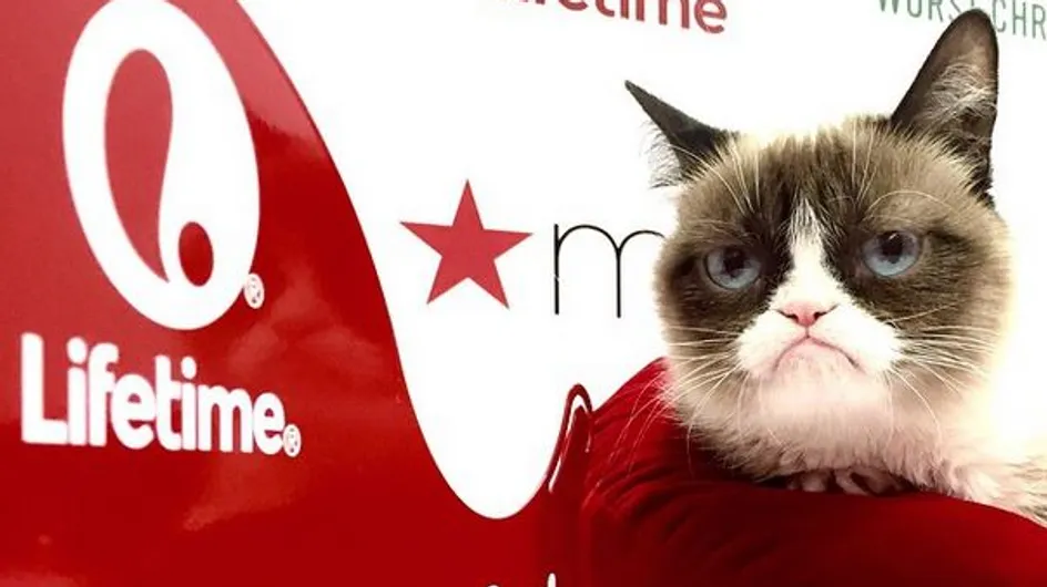 Grumpy Cat, un chat plus riche que certaines stars