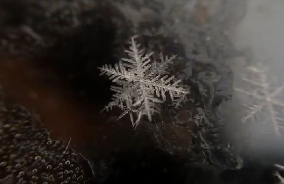 So kreativ ist Mutter Natur: Die Geburt einer Schneeflocke