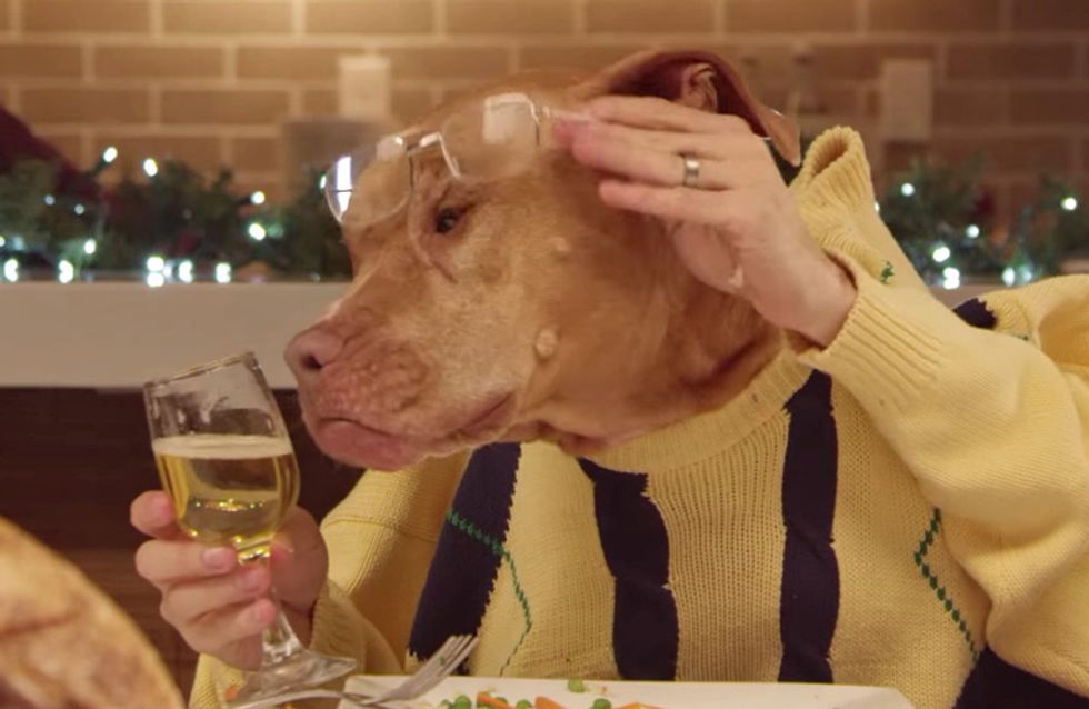 Tierische Weihnachten: Diese Dinner-Gäste sind zum Brüllen