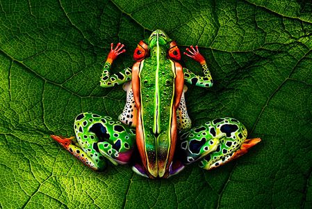 Body painting animal