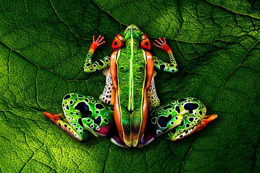 Body painting animal
