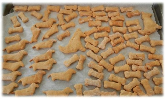 Idees Et Recettes De Biscuits Pour Chien