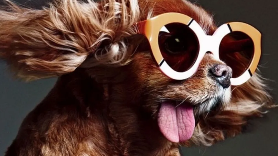 Le chien à lunettes beaucoup trop mignon de Karen Walker