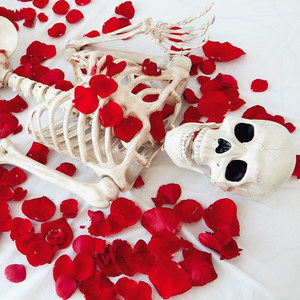 American Beauty Skellie style