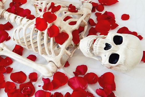 American Beauty Skellie style
