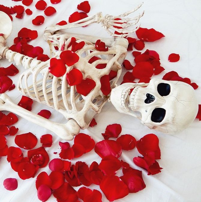 American Beauty Skellie style