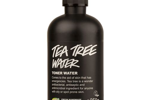 20 OMG Uses For Tea Tree Oil!