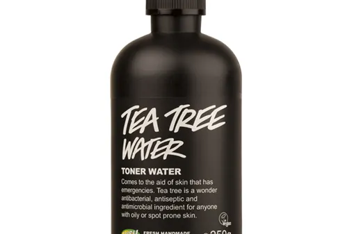 20 OMG Uses For Tea Tree Oil!