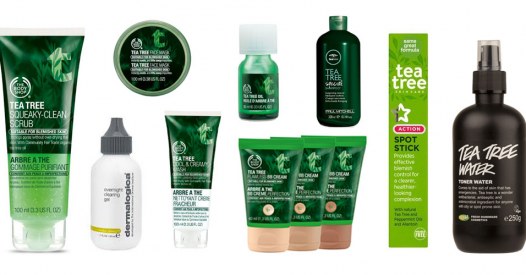 20 OMG Uses For Tea Tree Oil!