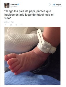 Presentación de Shasha