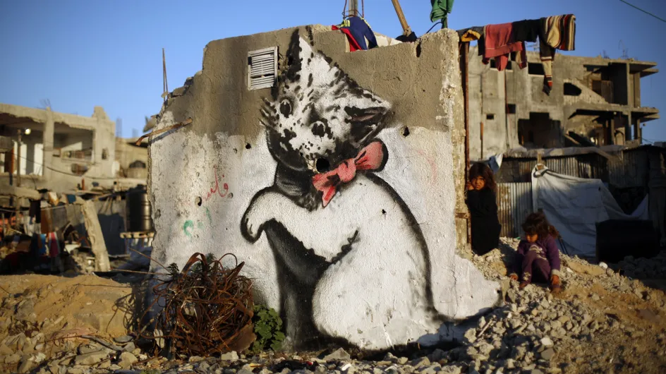 Un chaton sur les murs en ruines de Gaza
