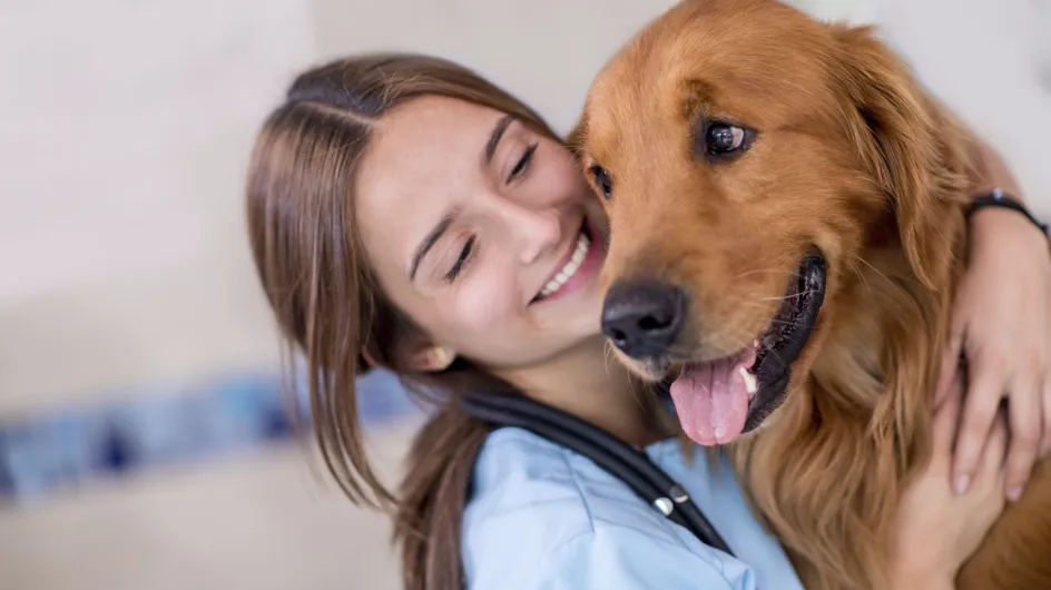 10 trucs qui prouvent qu'entre ton chien et toi, c'est fusionnel
