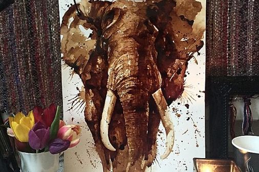 Elefante Africano
