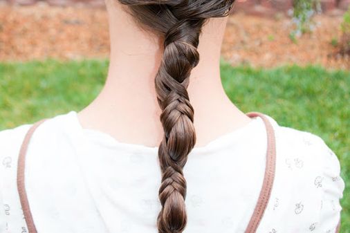 Trenza francesa
