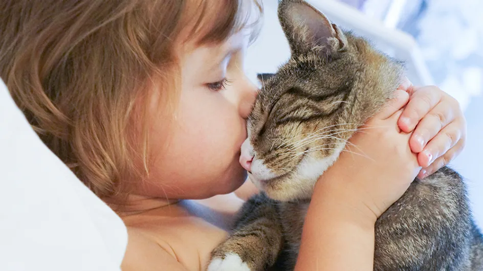 Crianças + gatos: puro amor em 60 fotos