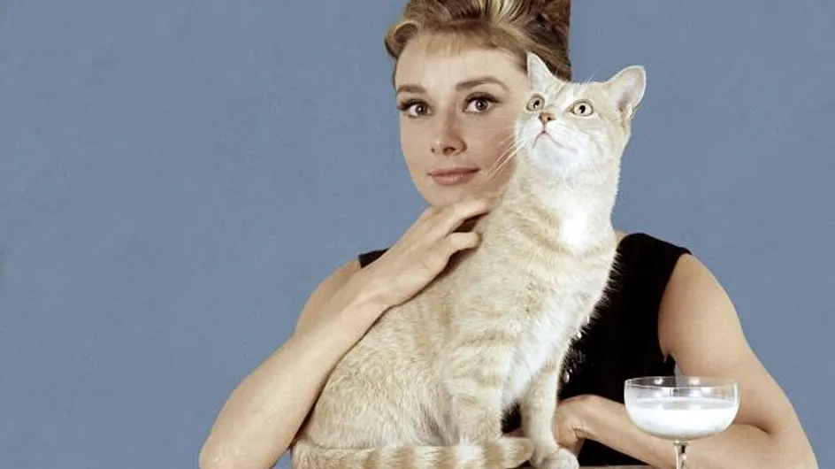 10 trucs qui prouvent que tu es une "cat lady"