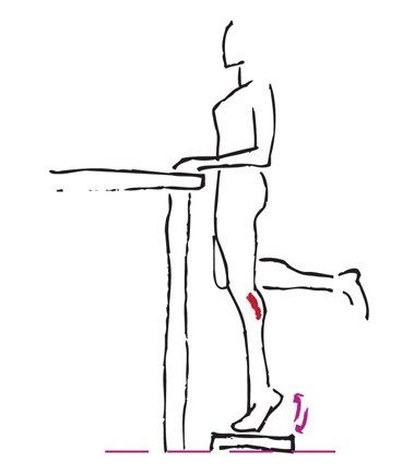 tabla de ejercicios para piernas y gluteos tabla de ejercicios para piernas y gluteos