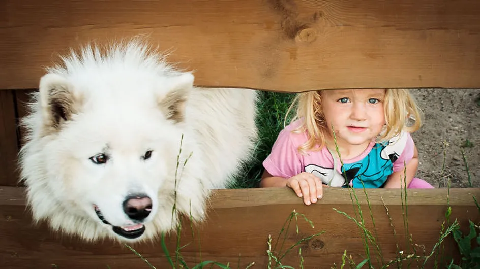 30 fotos que demuestran que tus hijos necesitan un perrito en sus vidas