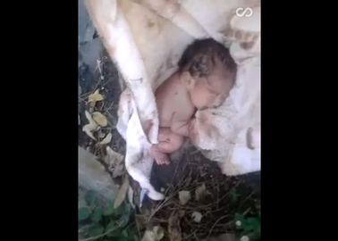 Cet Homme A Sauve Un Bebe Abandonne Dans La Rue Au Mexique Video