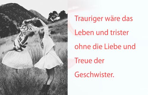 Die Schonsten Geschwister Spruche