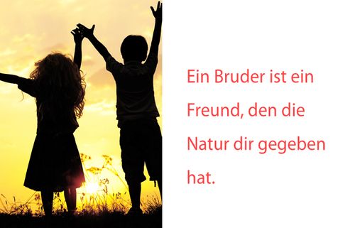 Spruch schwester bruder und bruder und